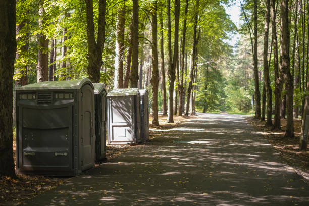 Best Local porta potty services  in Laupahoehoe, HI